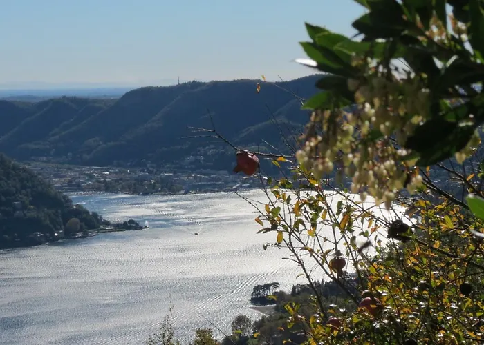 Volare...oh...oh アパート