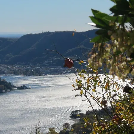 Volare...oh...oh Apartmán